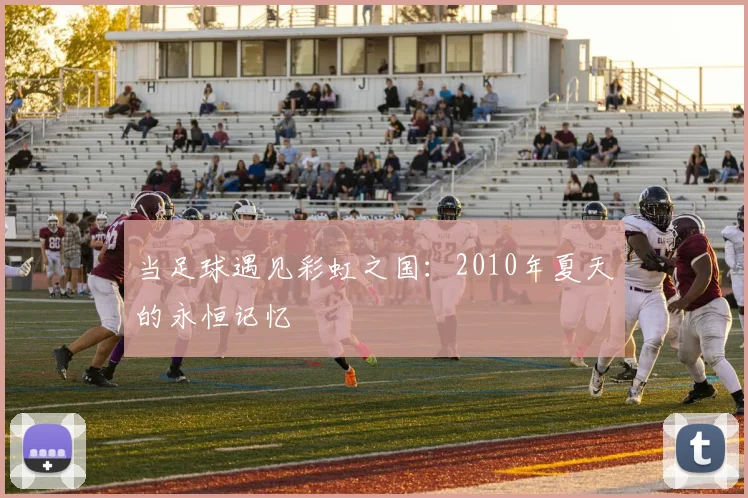 当足球遇见彩虹之国：2010年夏天的永恒记忆