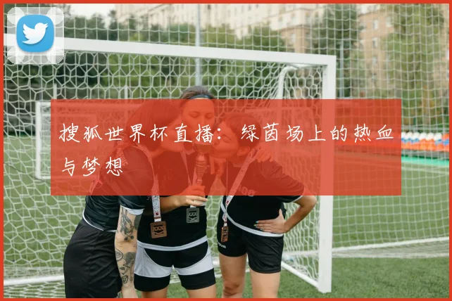 搜狐世界杯直播:绿茵场上的热血与梦想
