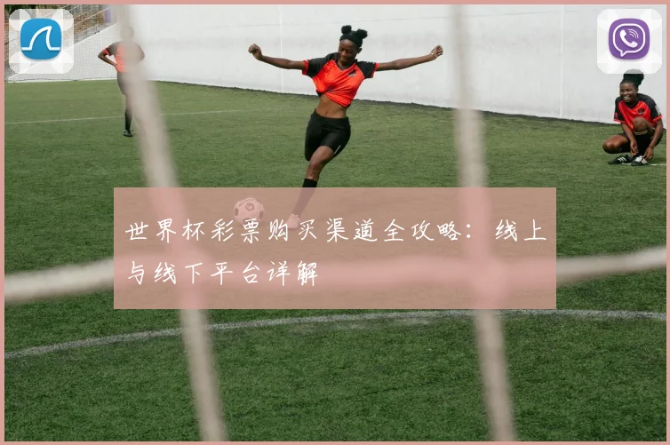 世界杯彩票购买渠道全攻略:线上与线下平台详解