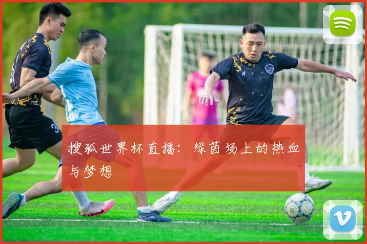搜狐世界杯直播:绿茵场上的热血与梦想