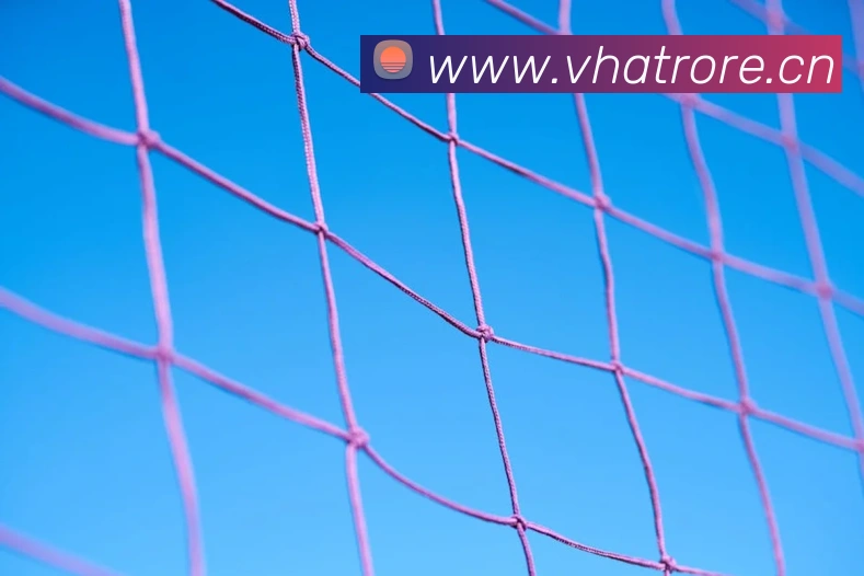 9游会ag首页发展历程